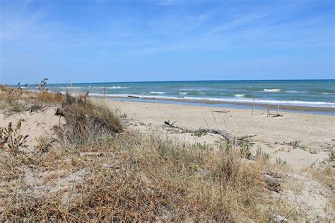 Lido di Classe and Bassona beaches in Ravenna